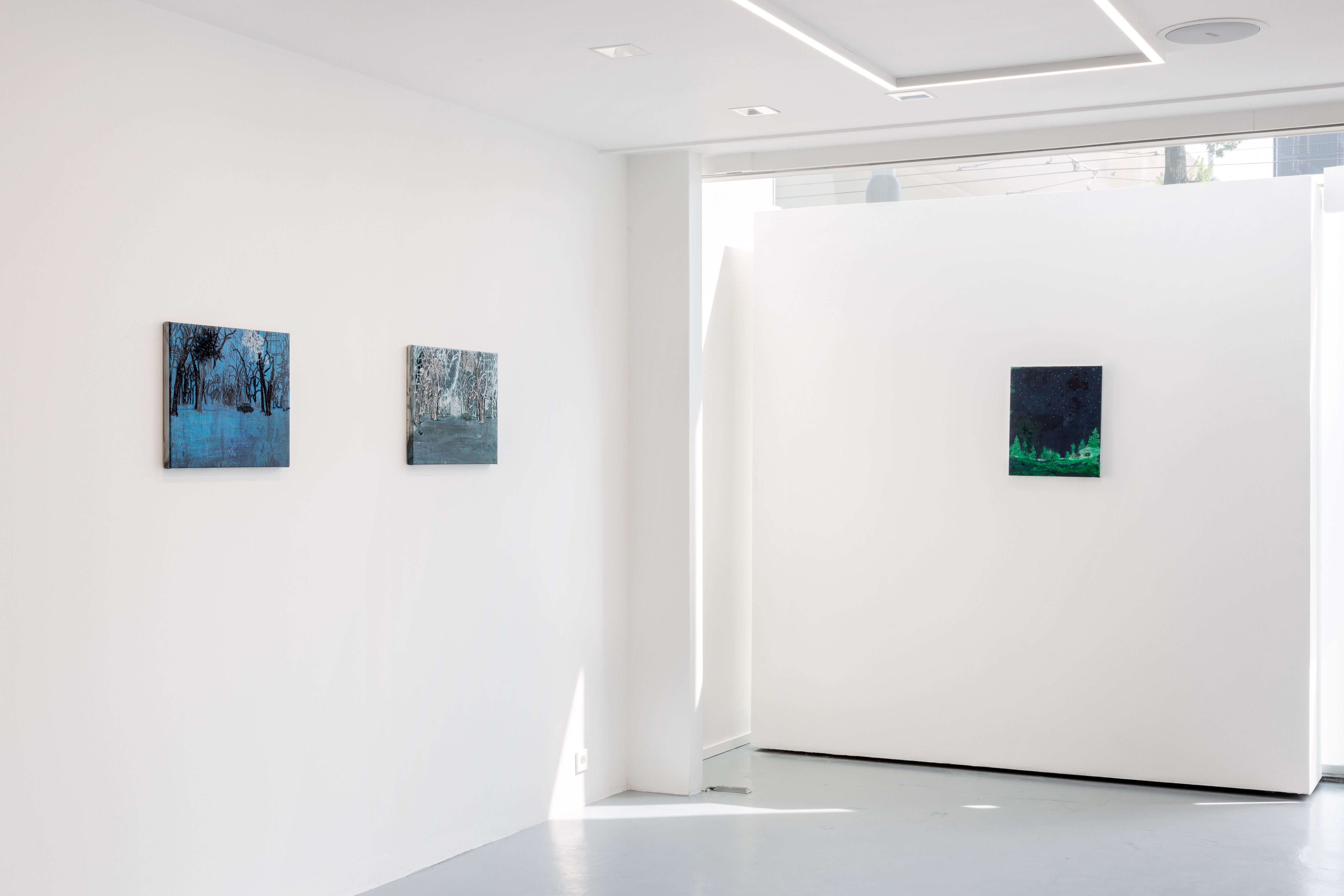 demo | Michael Raedecker | Gallery Viewer