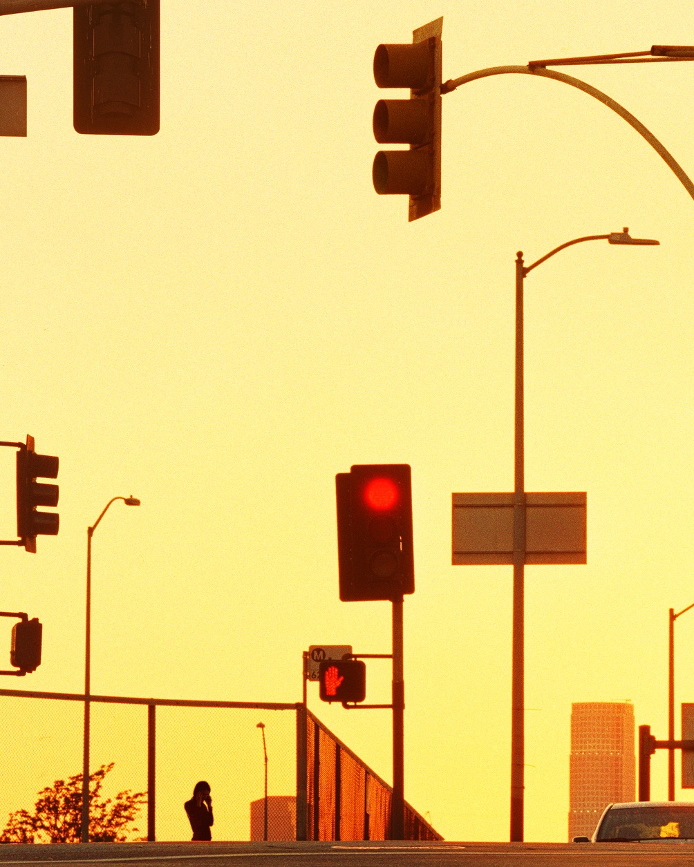 Stoplight Matthew Porter Gallery Viewer