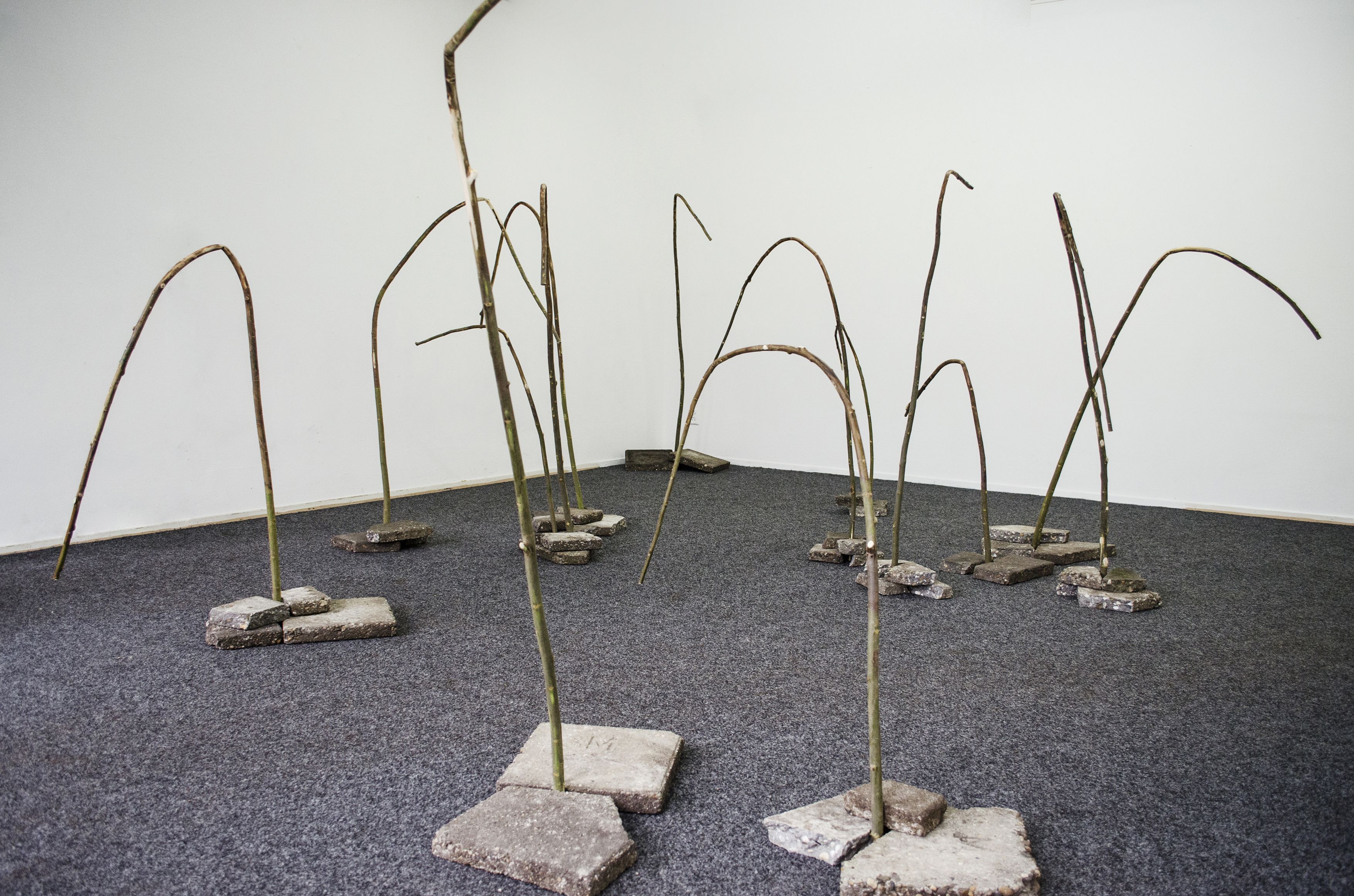 Peng Zhang Kunstenaar op Gallery Viewer Gallery View...