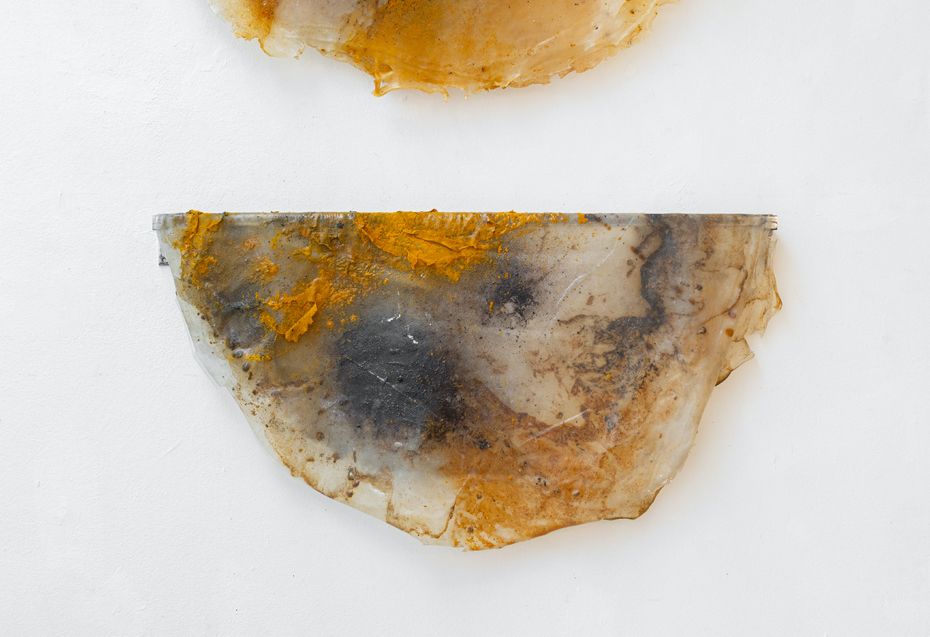 Tapioca Microscope Tapioca schilderij III | Razia Barsatie | Gallery Viewer
