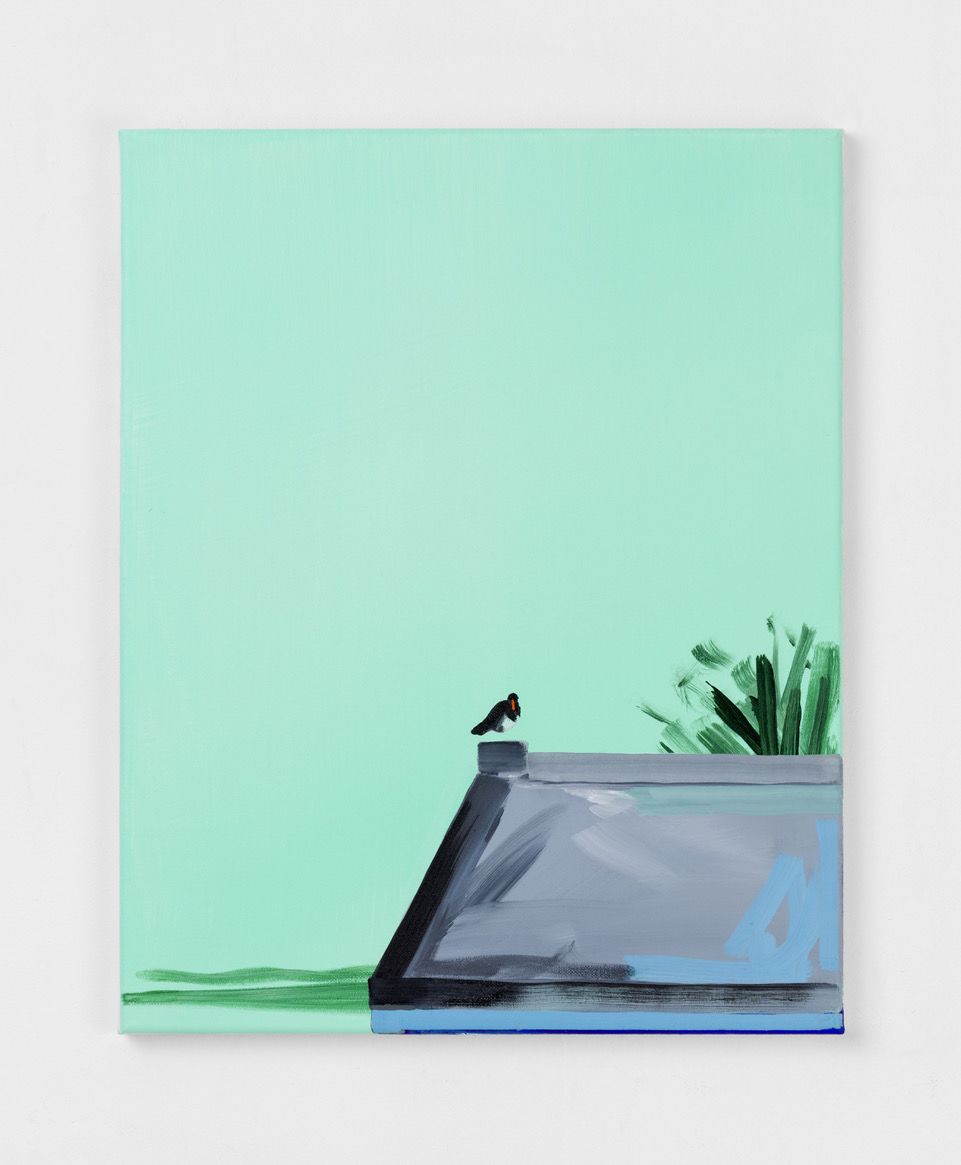 Oystercatcher Marie Reintjes Gallery Viewer