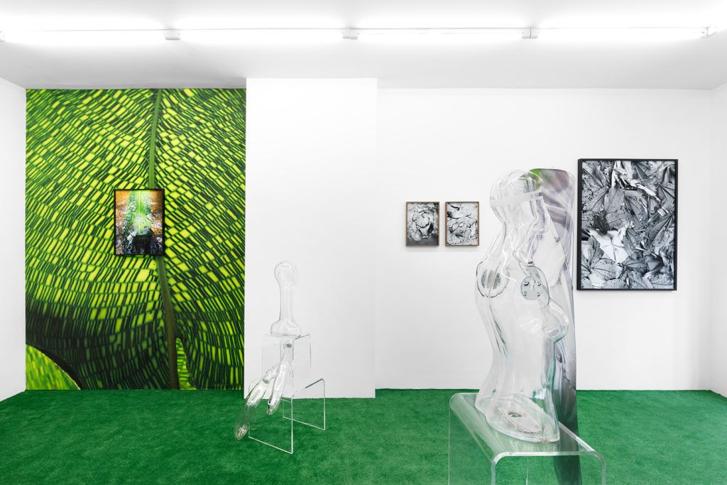 Art Rotterdam 2023 Anouk Kruithof Gallery Viewer