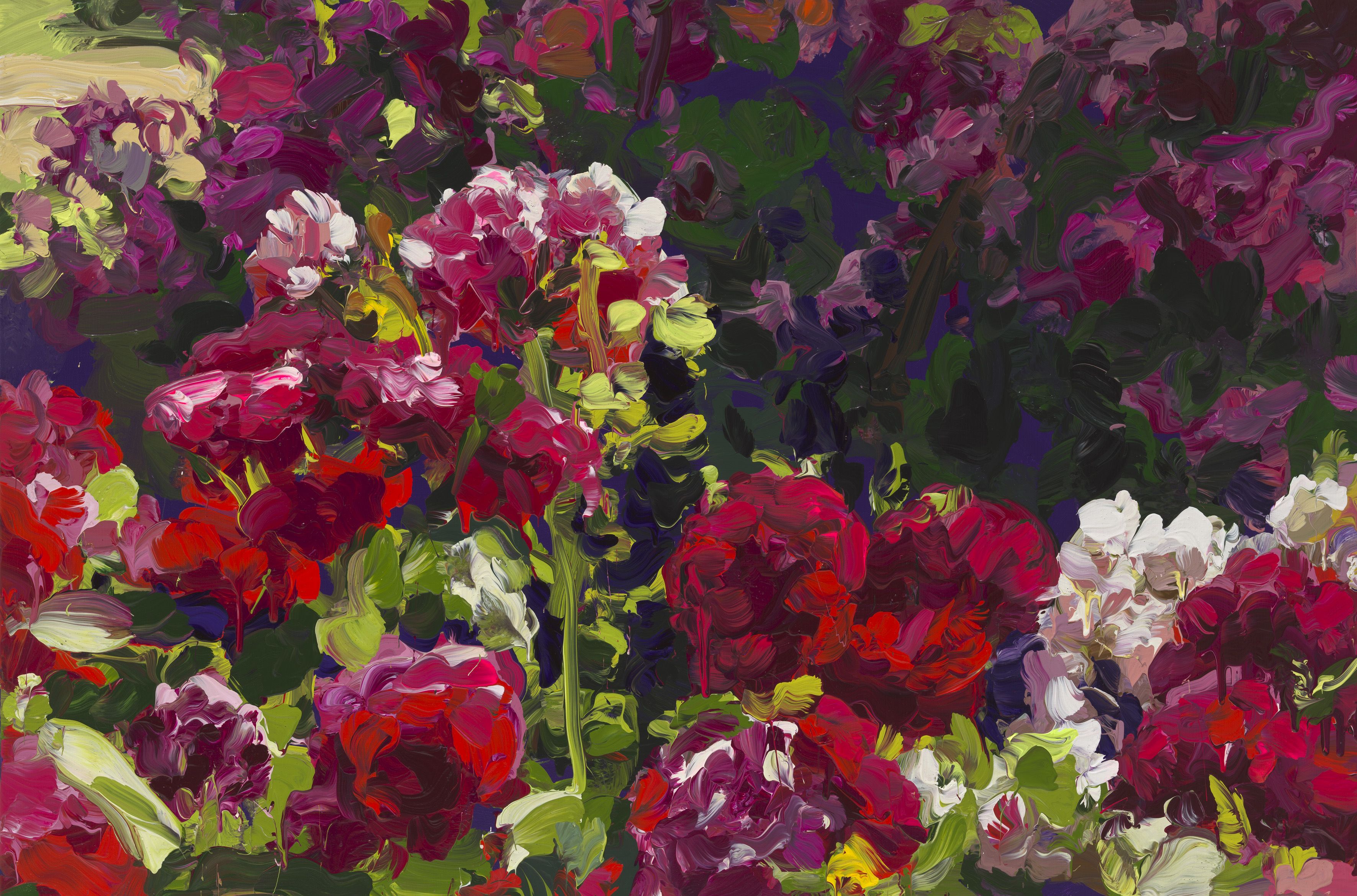 Roses 20 | Jan de Vliegher | Gallery Viewer
