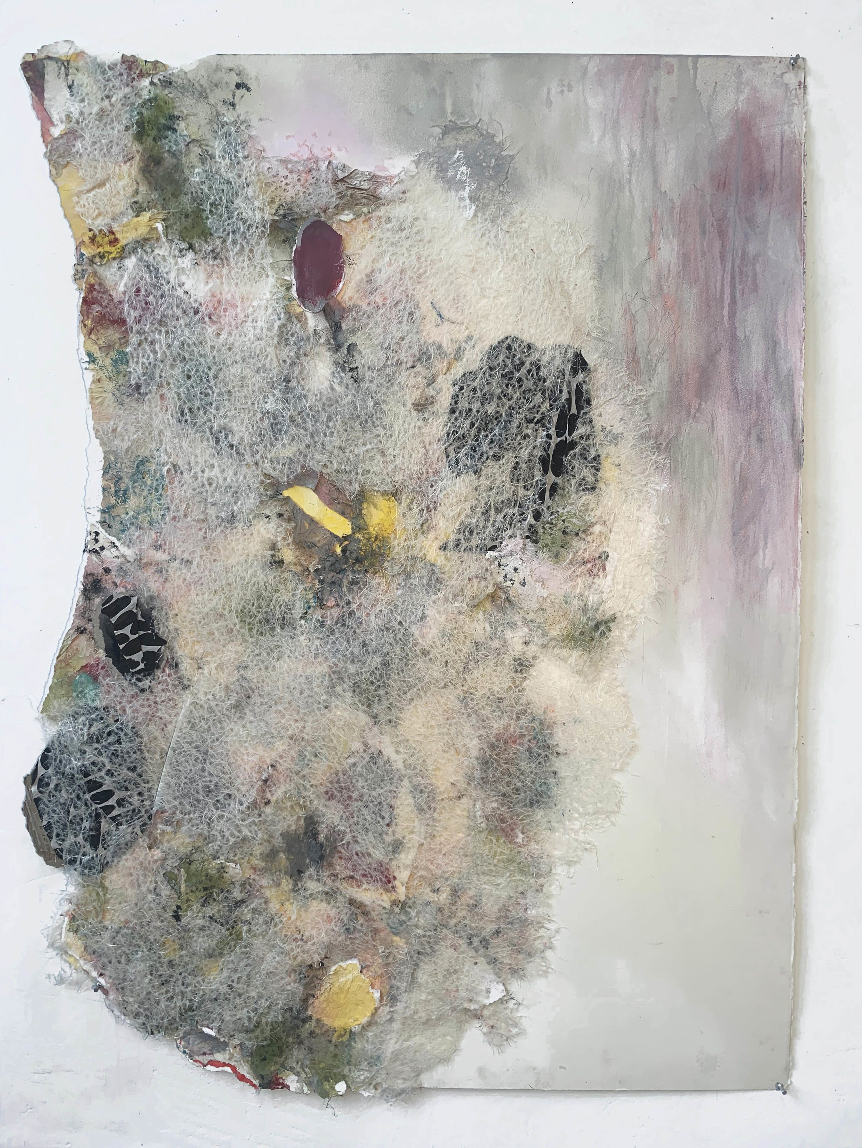 The Plural Of Leaf vrogue.co