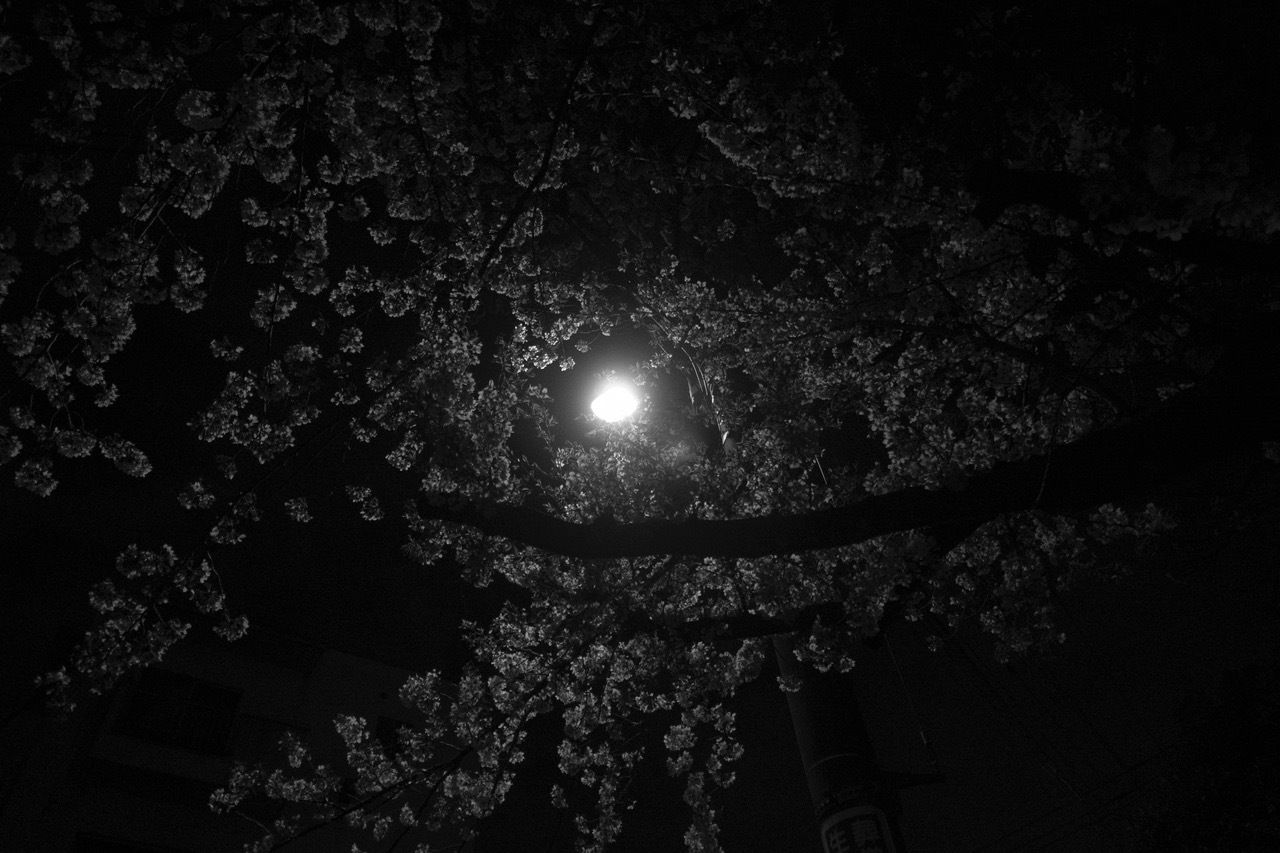 Untitled, Ai ni tsuite (abou | Sakiko Nomura | Galler Untitled, Ai ni tsuite (abou | Sakiko Nomura | Galler