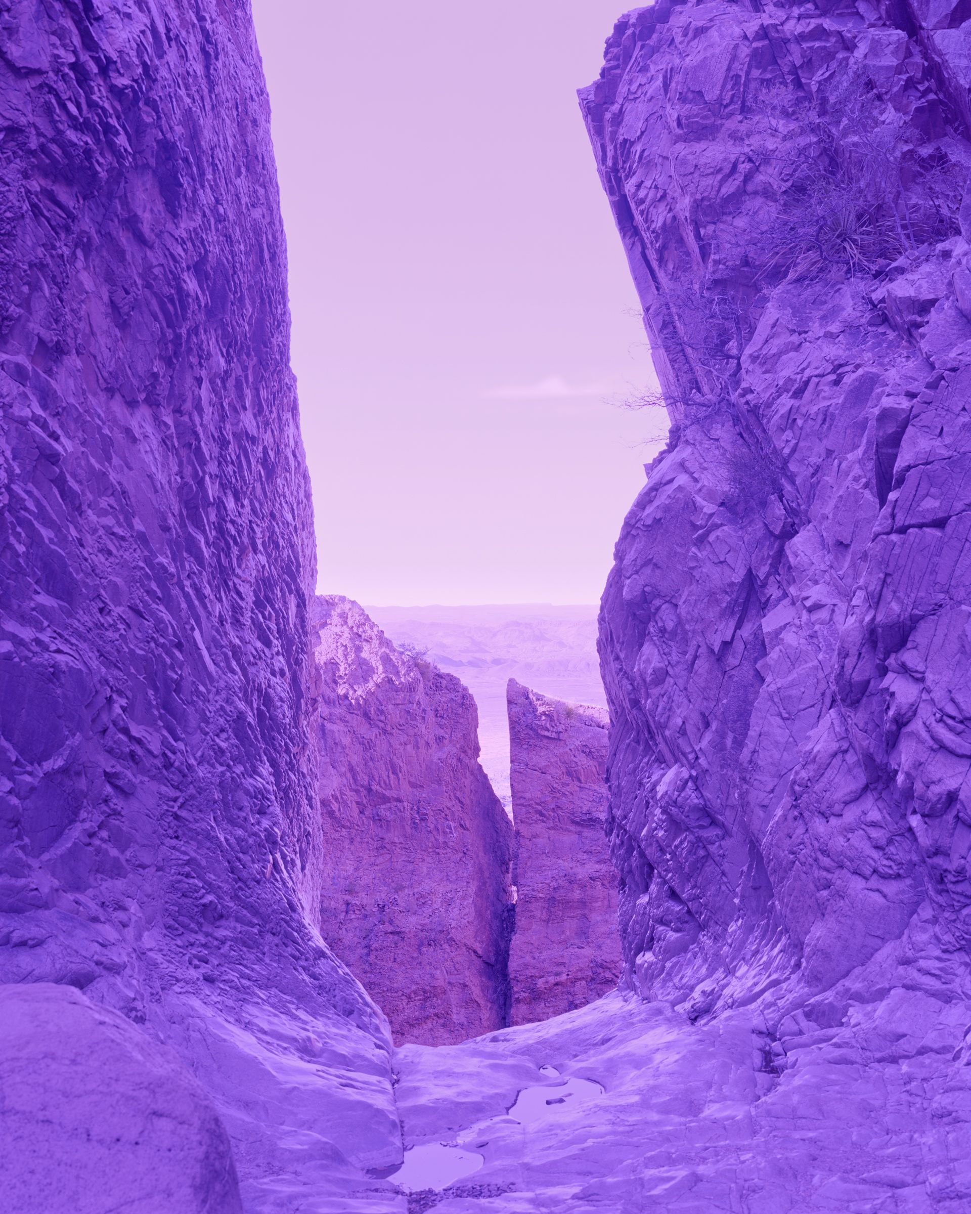 Unseen 2023 david benjamin sherry gallery viewer