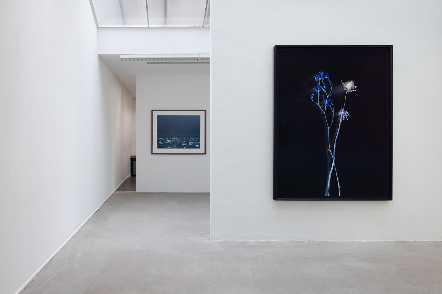 Last chance: the presence of absence in the works of Axe