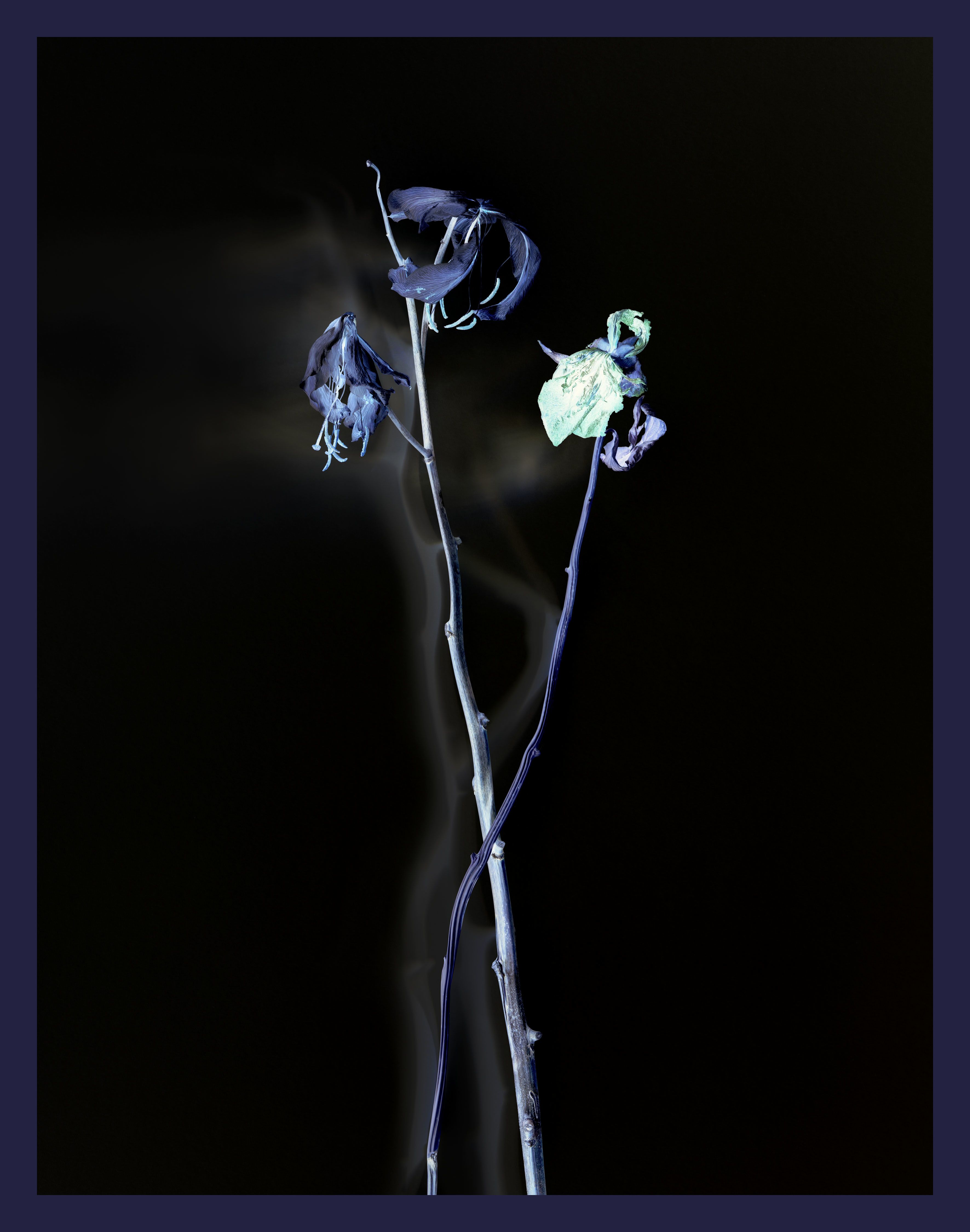 Axel Hütte | Artist on Gallery Viewer | Gallery Viewer