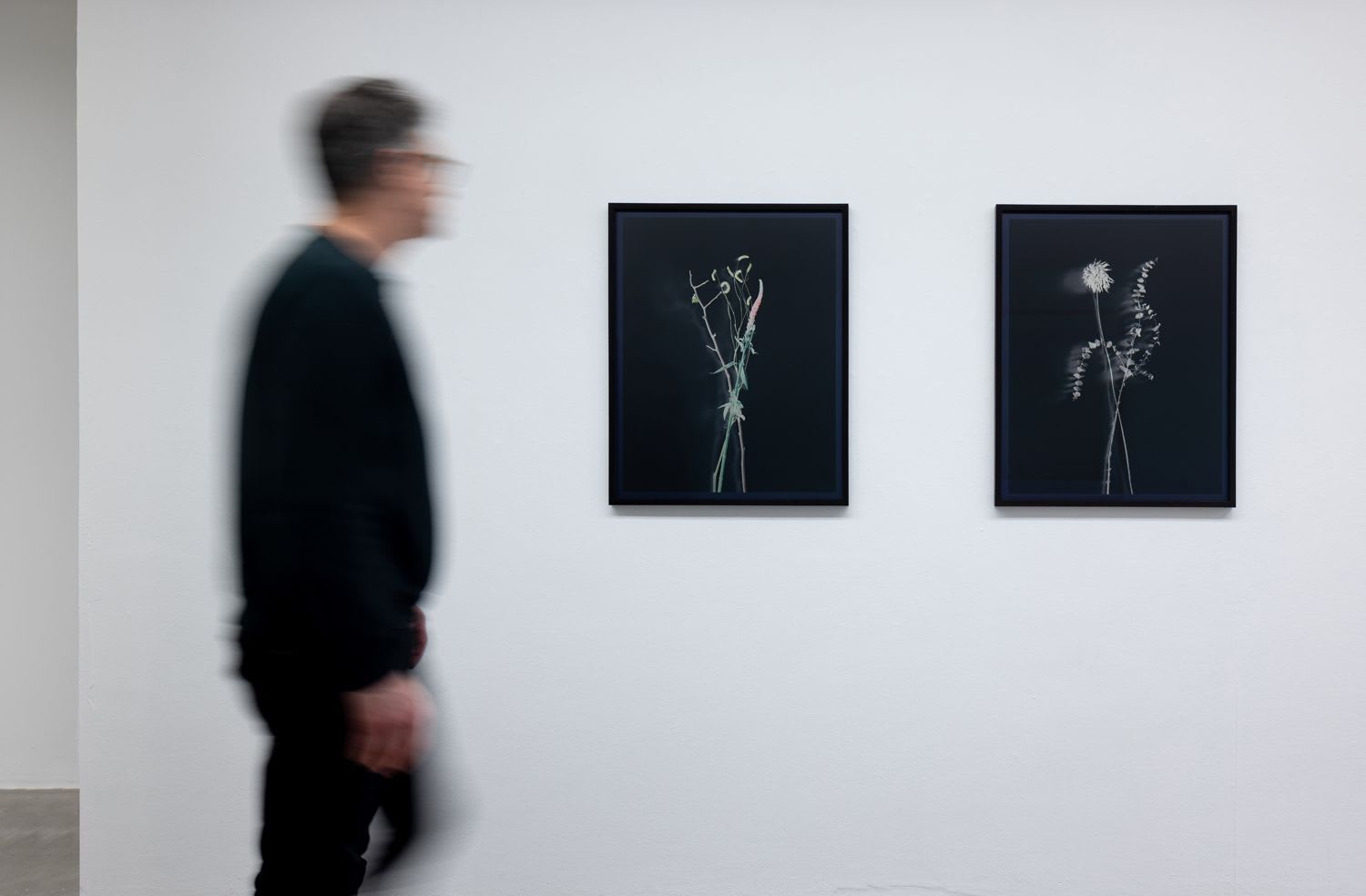 Last chance: the presence of absence in the works of Axe