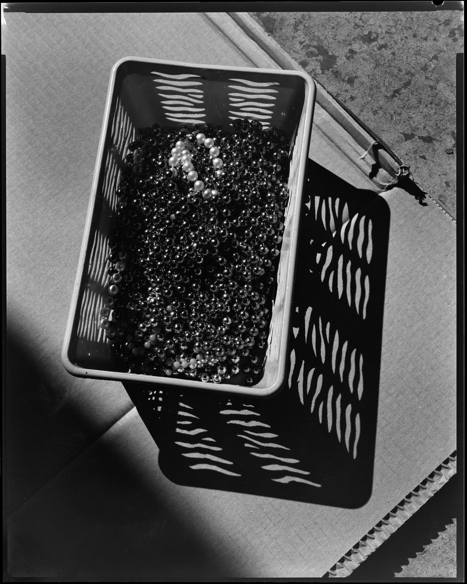 Thomas Manneke | Artist on Gallery Viewer | Gallery View