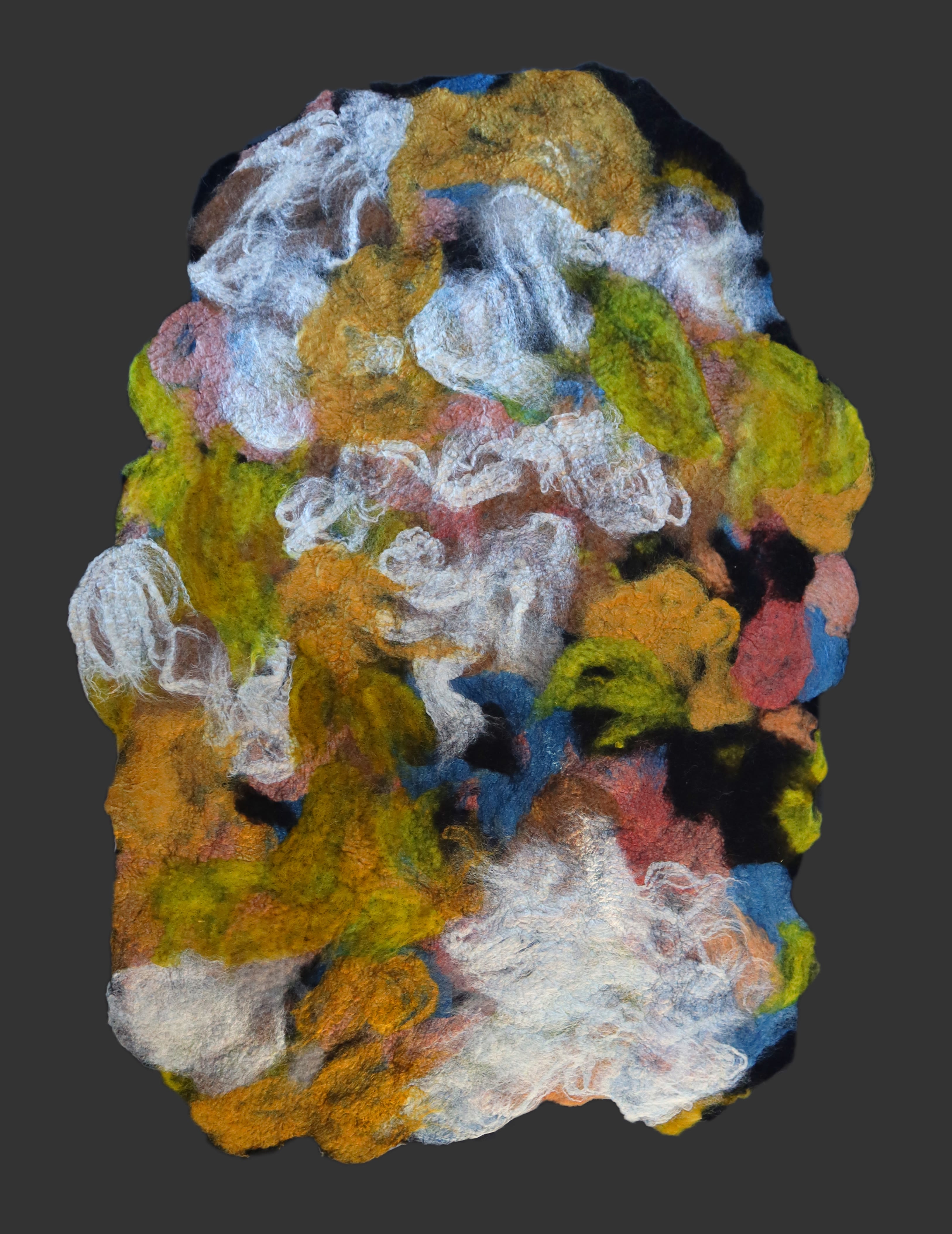 Claudy Jongstra／MATTER AND MEANING Claudy Jongstra: wool as a carrier of craftsmanship, his