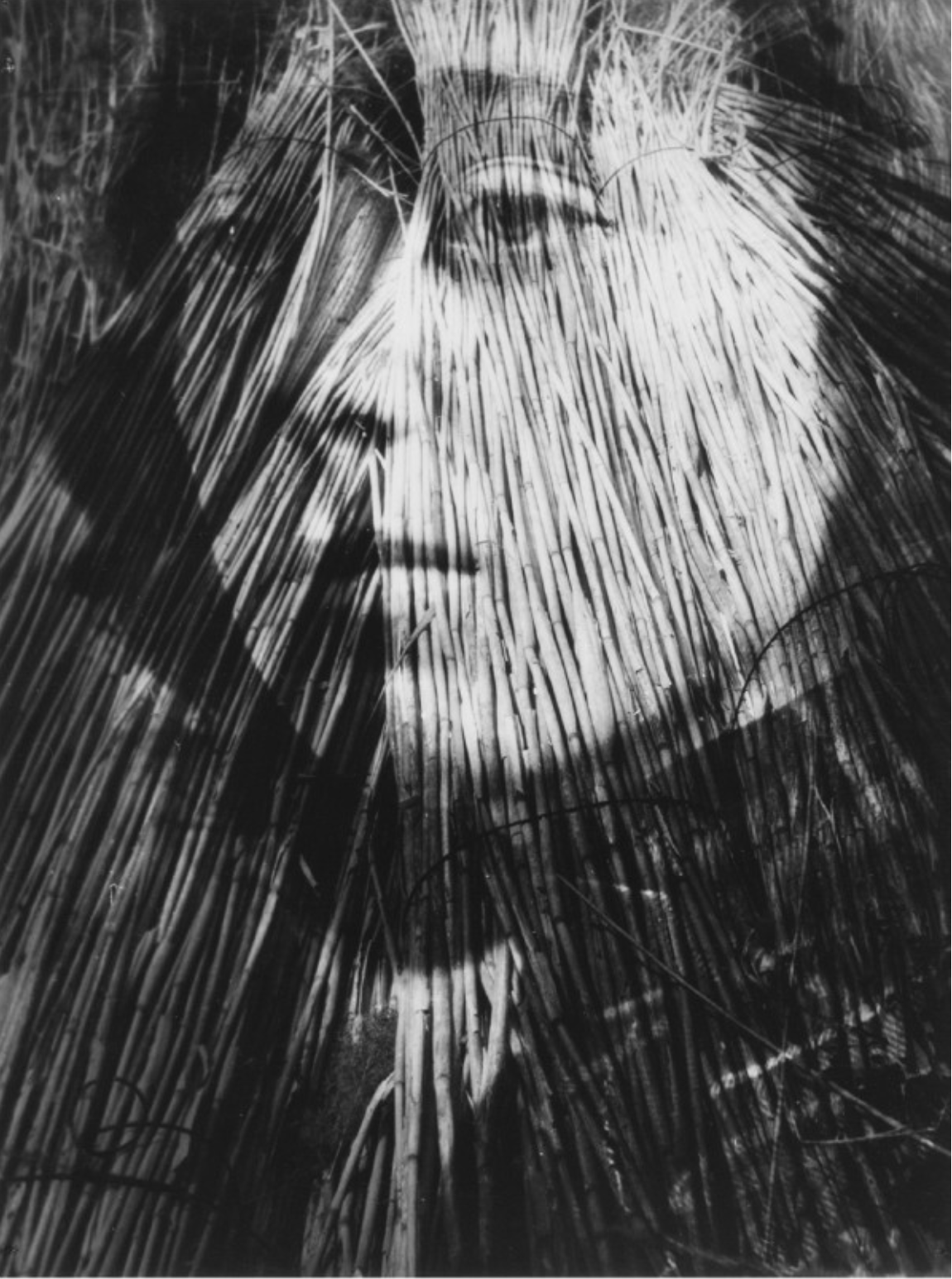 Parrotta Parrotta Contemporary Art | Artists | Gallery Viewer