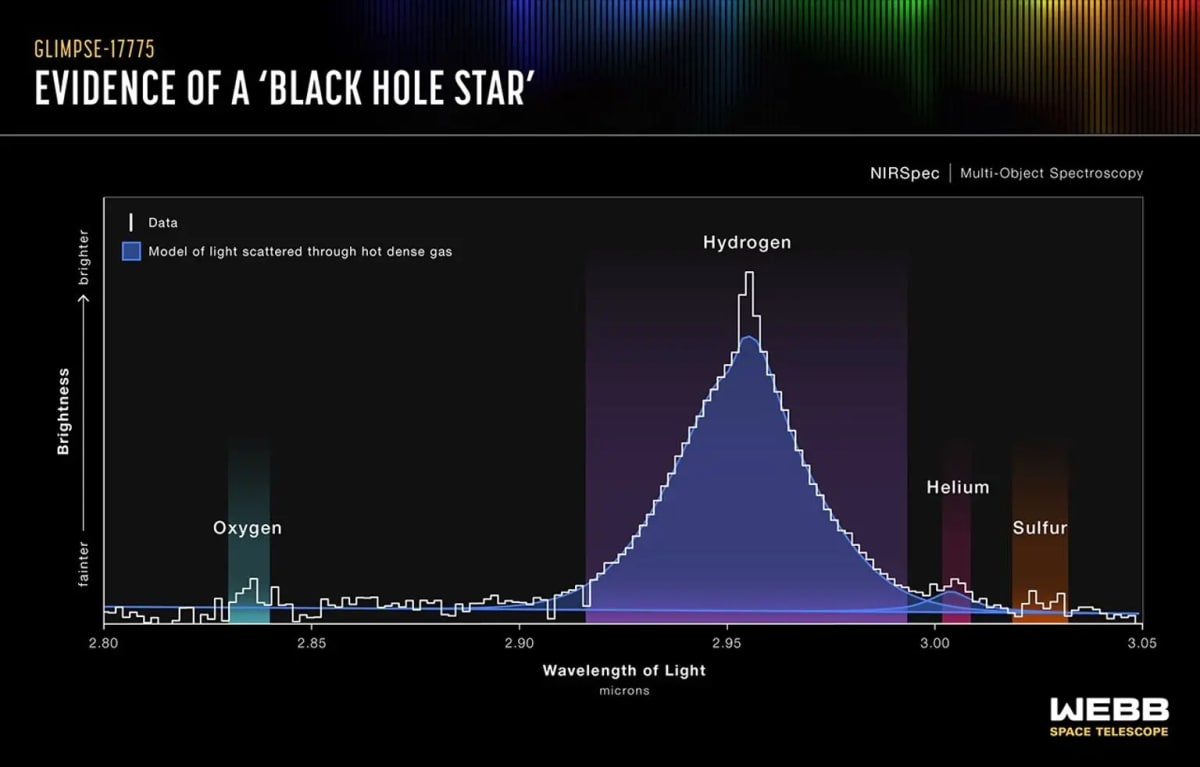 James Webb Space Telescope observation of a possible black hole star surrounded by hot dense gas
