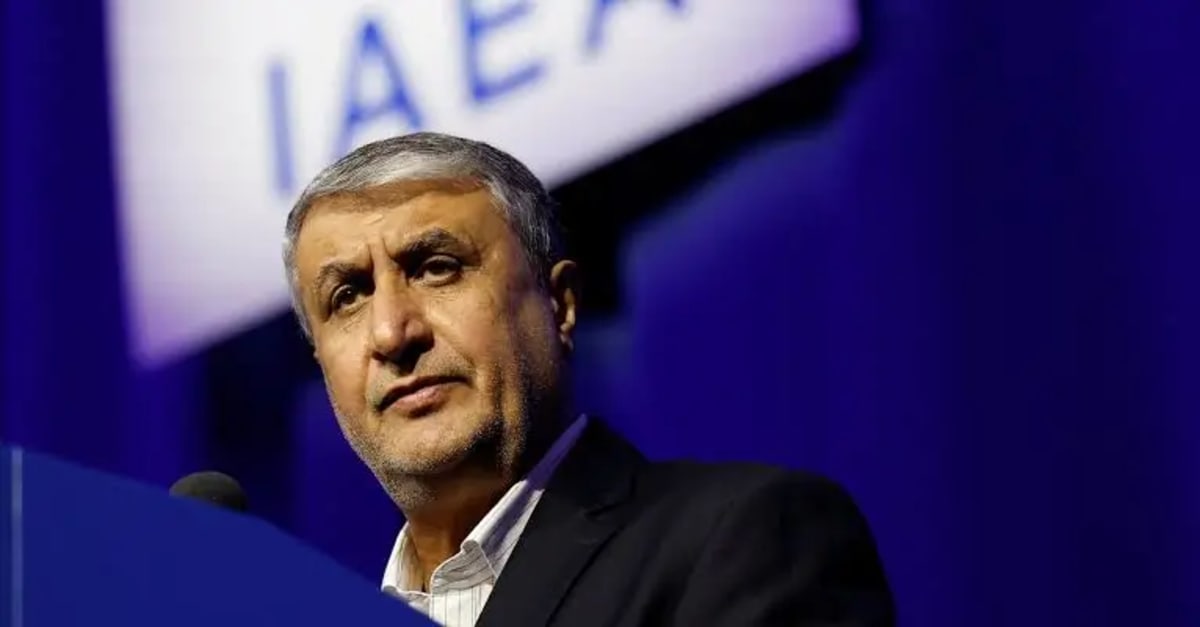 Iranian nuclear chief Mohammad Eslami amid dispute over attendance at IAEA General Conference in Vienna