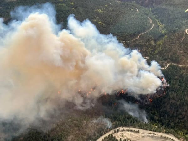 Bald Range wildfire spreads near Summerland and Peachland in British Columbia