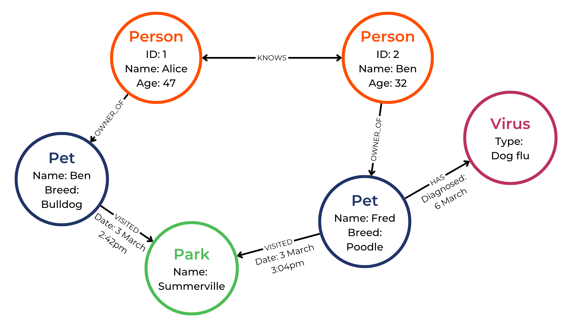 Visual graph containing two person nodes, two pet node, a park node and a illness node, all connected by relationships