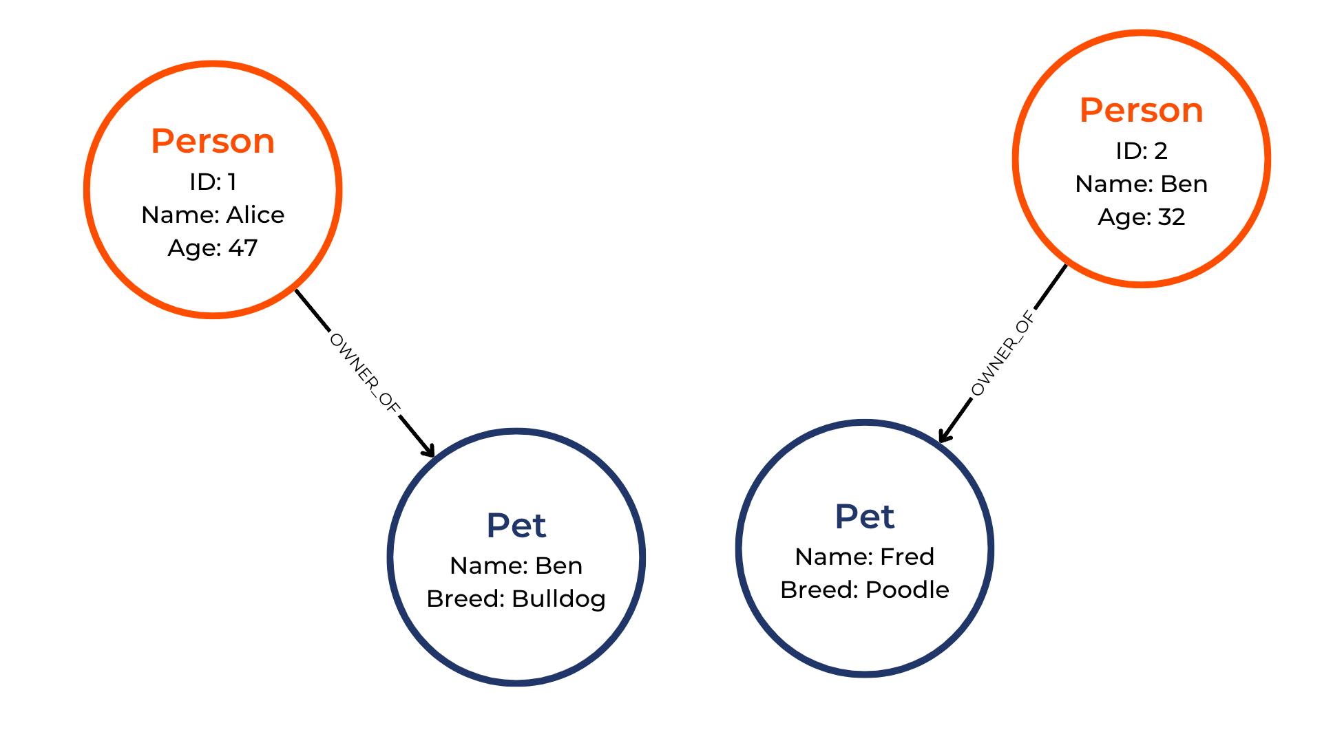 Visual graph containing two person nodes, and two pet nodes connected by an ownder relationship from the person to the pet