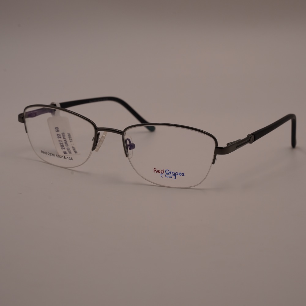 RAU-2620 view 2