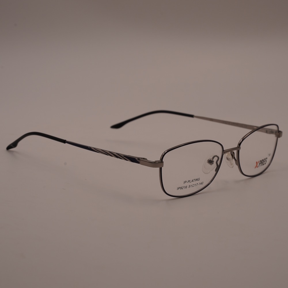IP9216 view 2