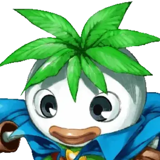 Turnip