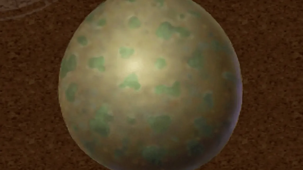 Big Egg