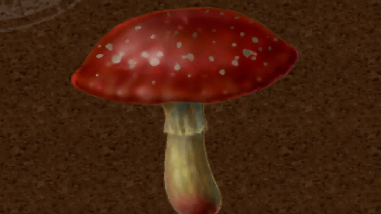 Fungiñón