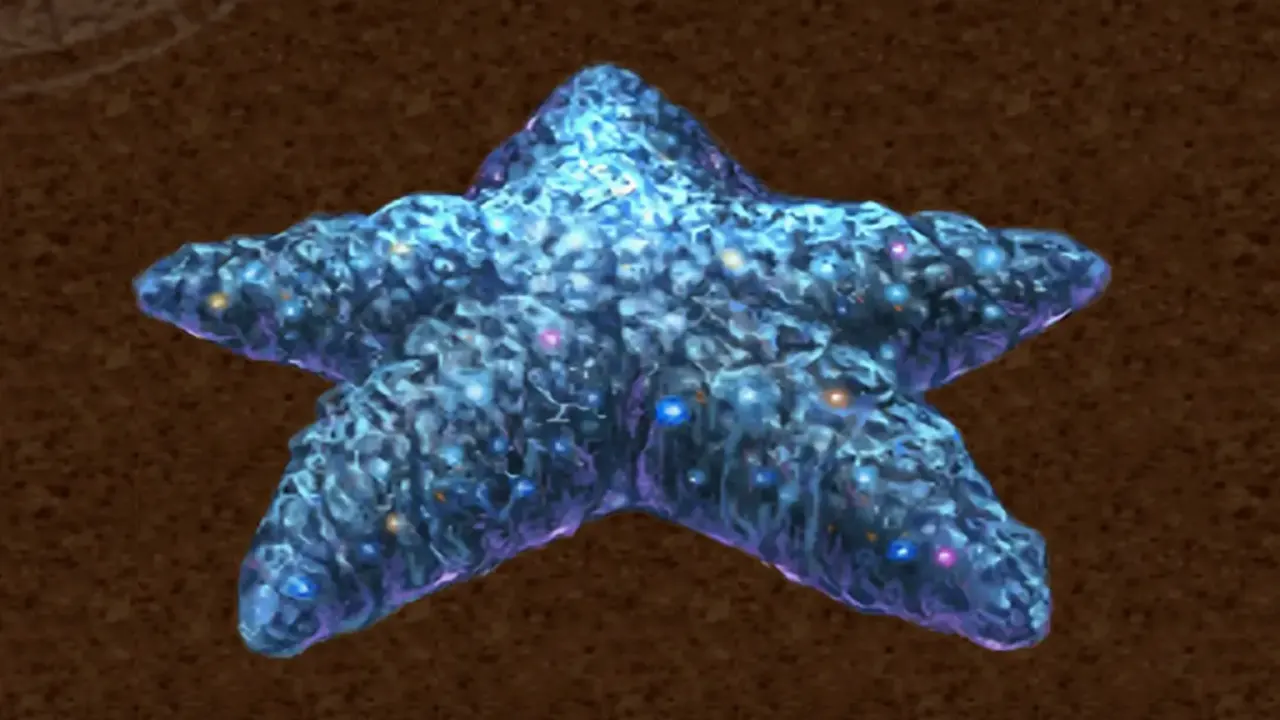 Nido Triangle