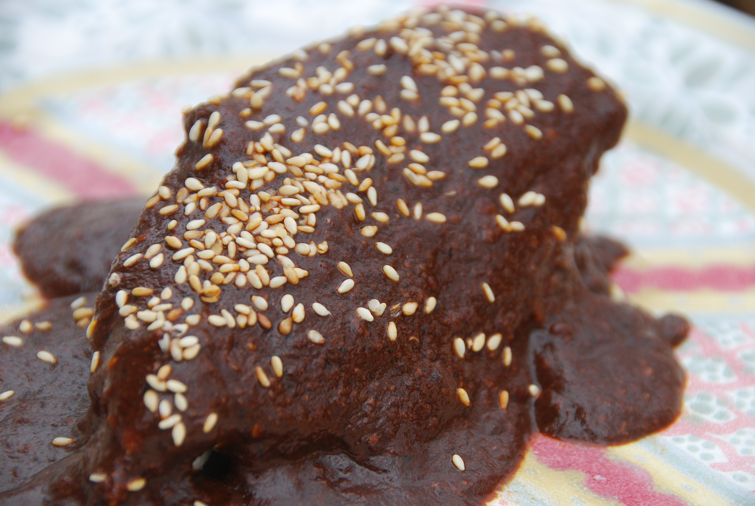 Mole Poblano (Chicken with Chocolate Sauce)