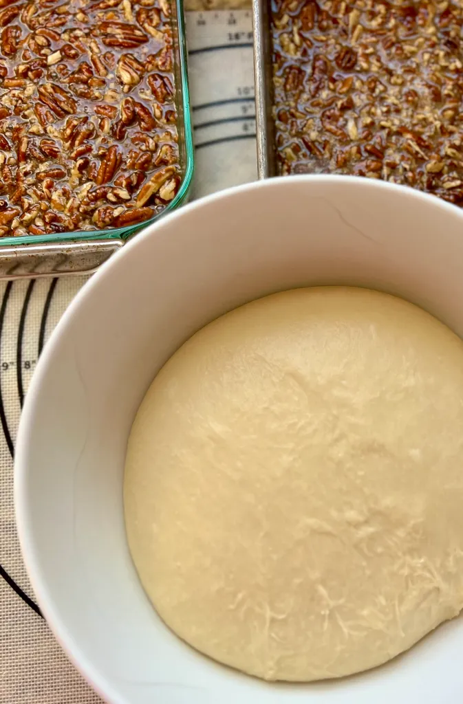 Christmas Bread Dough