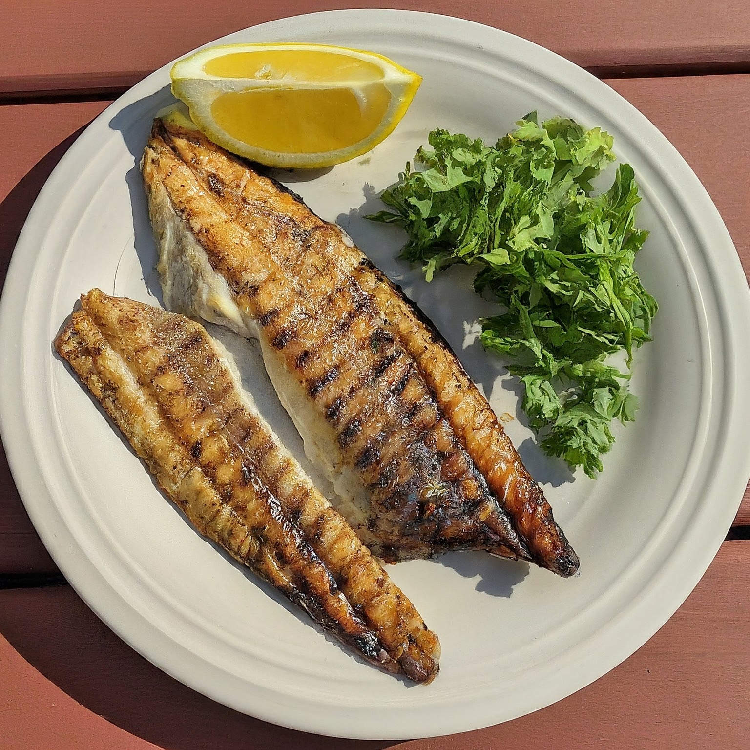 Grilled Bluefish (Beyond Salmon)