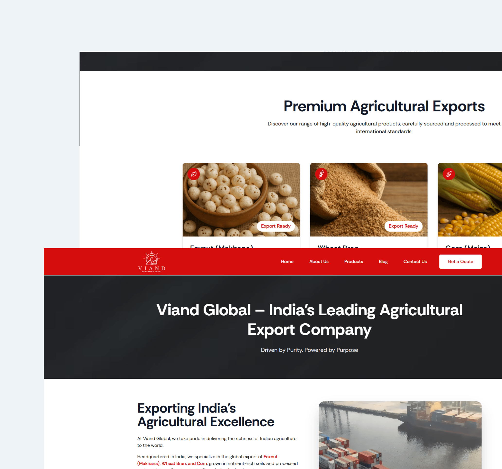 Viand Global project image 2