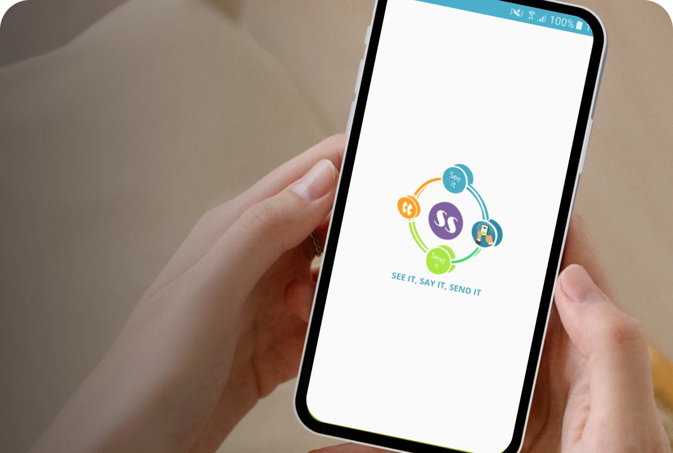 See It Say It Send It App Interface