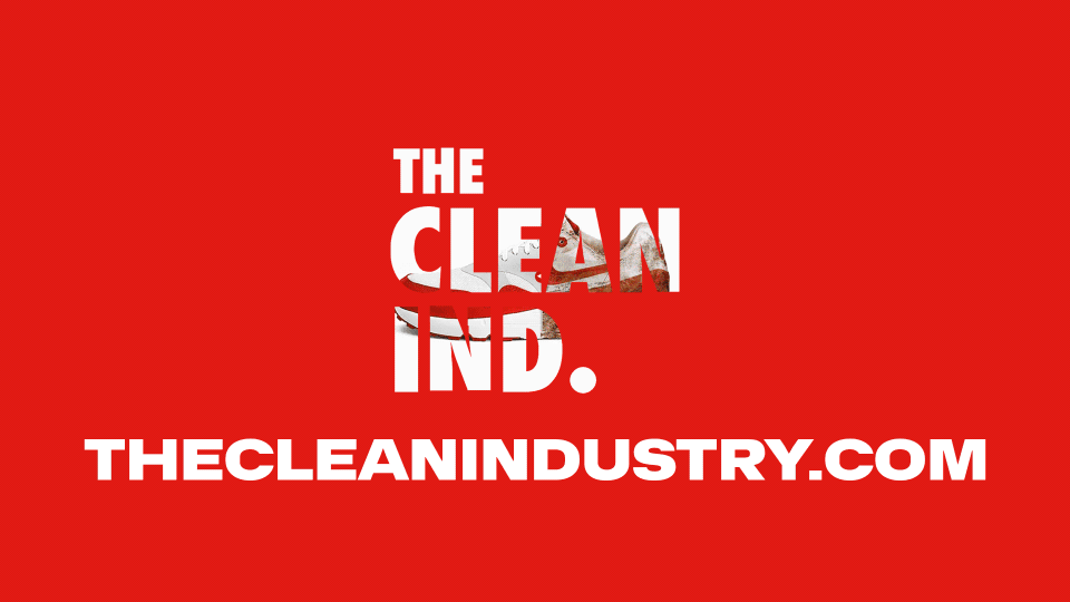 thecleanindustry.com