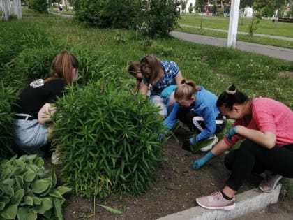 За летний период в образовательных организациях Мысков планируется трудоустроить свыше 350 подростков