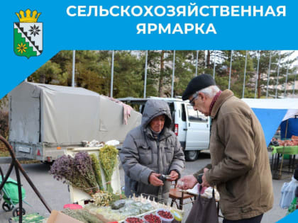 Ярмарка сельхозпродукции в Белово