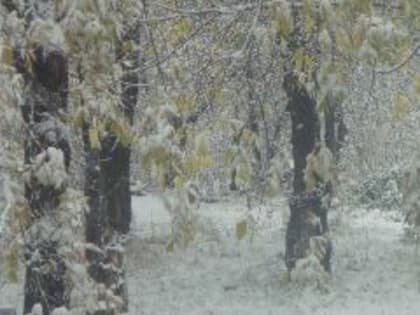 Новые инициативы в области здравоохранения в Москве