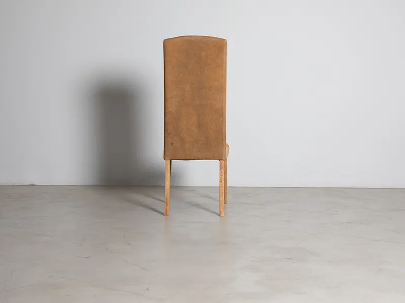 Diana+Dining+Chair+4