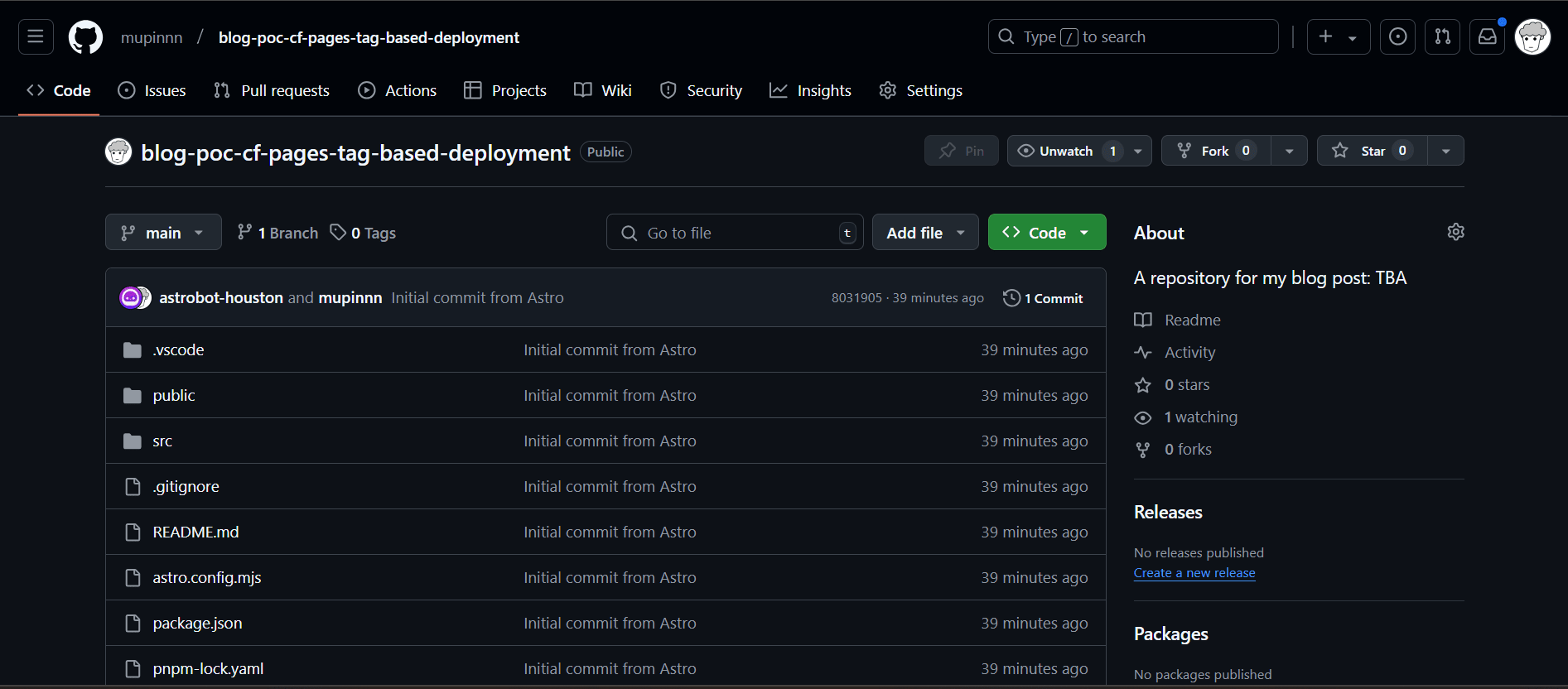 GitHub repository view after push