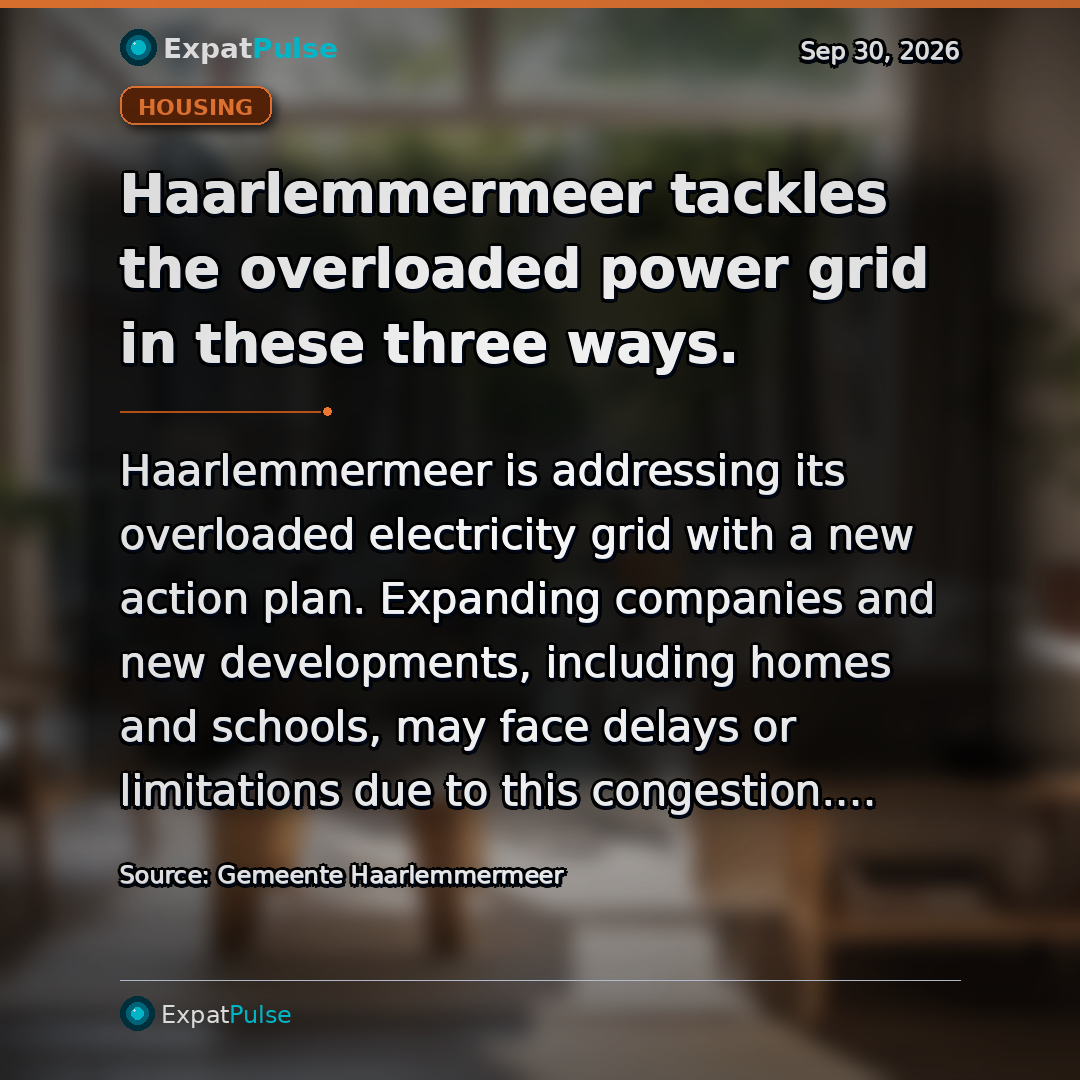Haarlemmermeer tackles the overloaded power grid in these three ways.