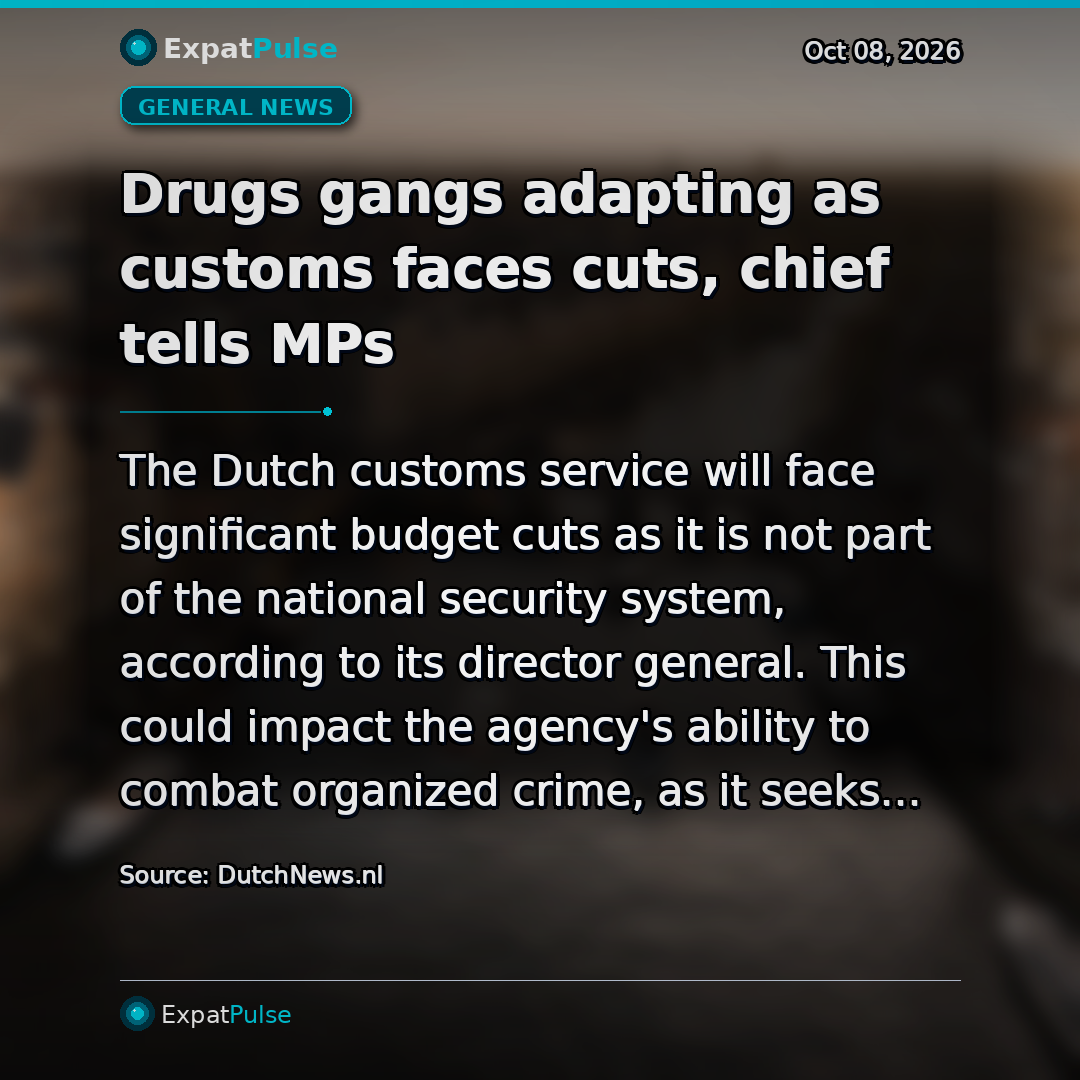 Drugs gangs adapting as customs faces cuts, chief tells MPs