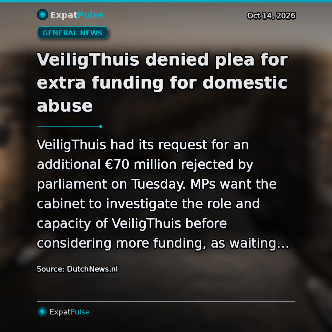 VeiligThuis denied plea for extra funding for domestic abuse