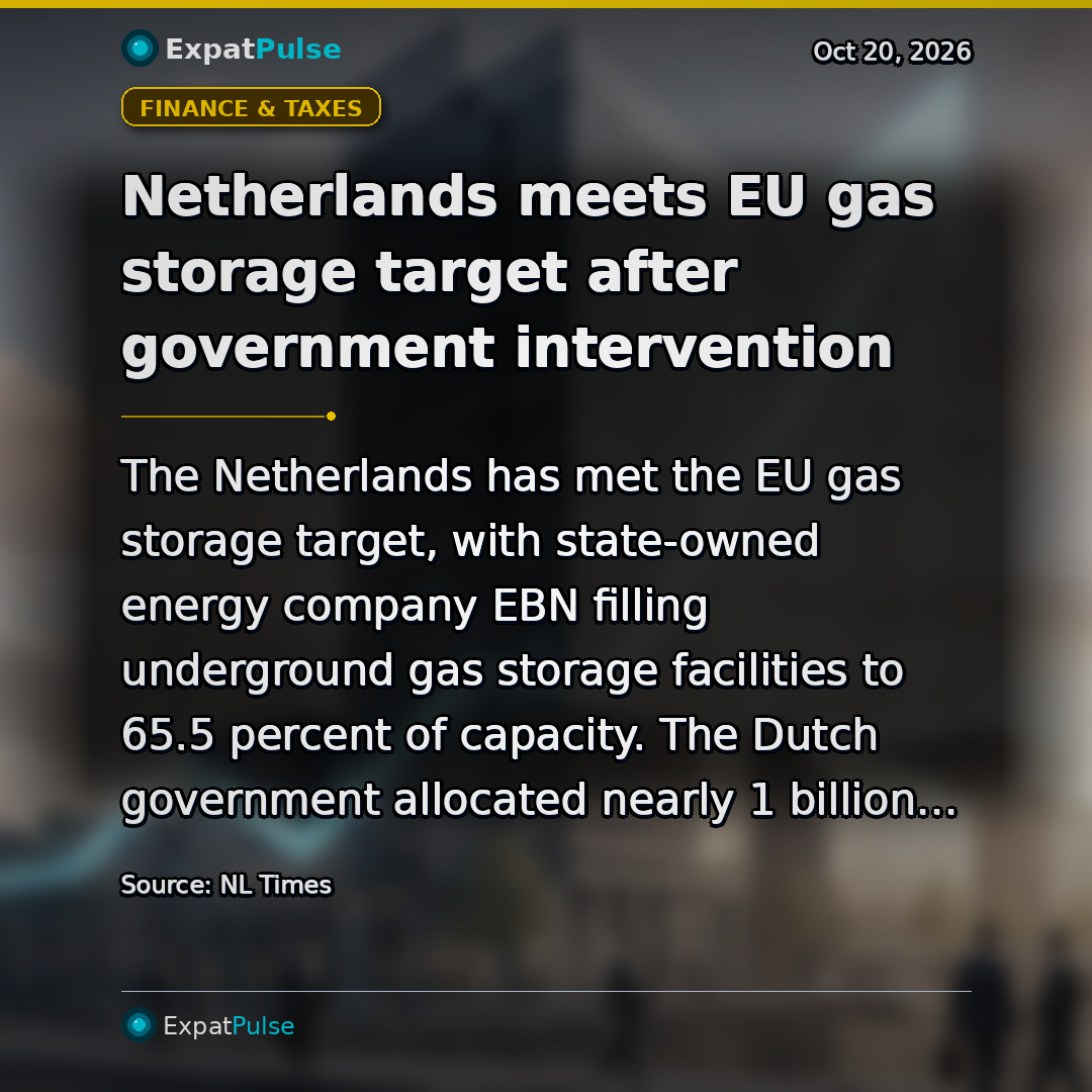 Netherlands meets EU gas storage target after government intervention