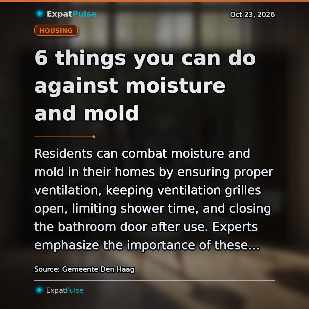 6 things you can do against moisture and mold