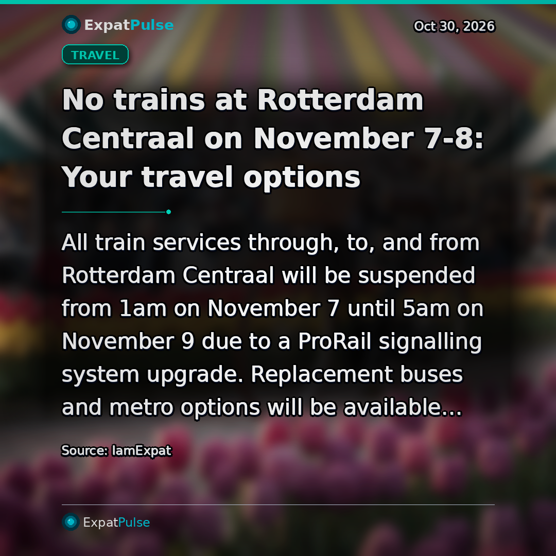 No trains at Rotterdam Centraal on November 7-8: Your travel options