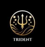 Trident Aircraft Detailing – advertising in california
