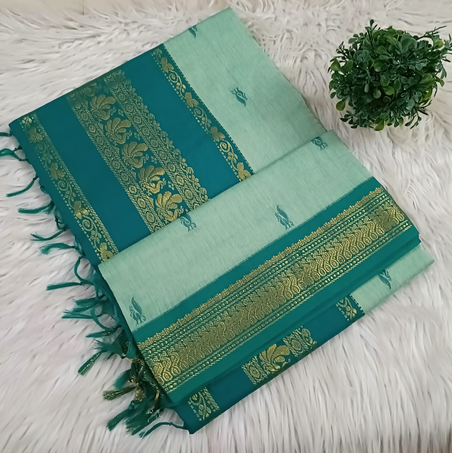 Kalyani cotton