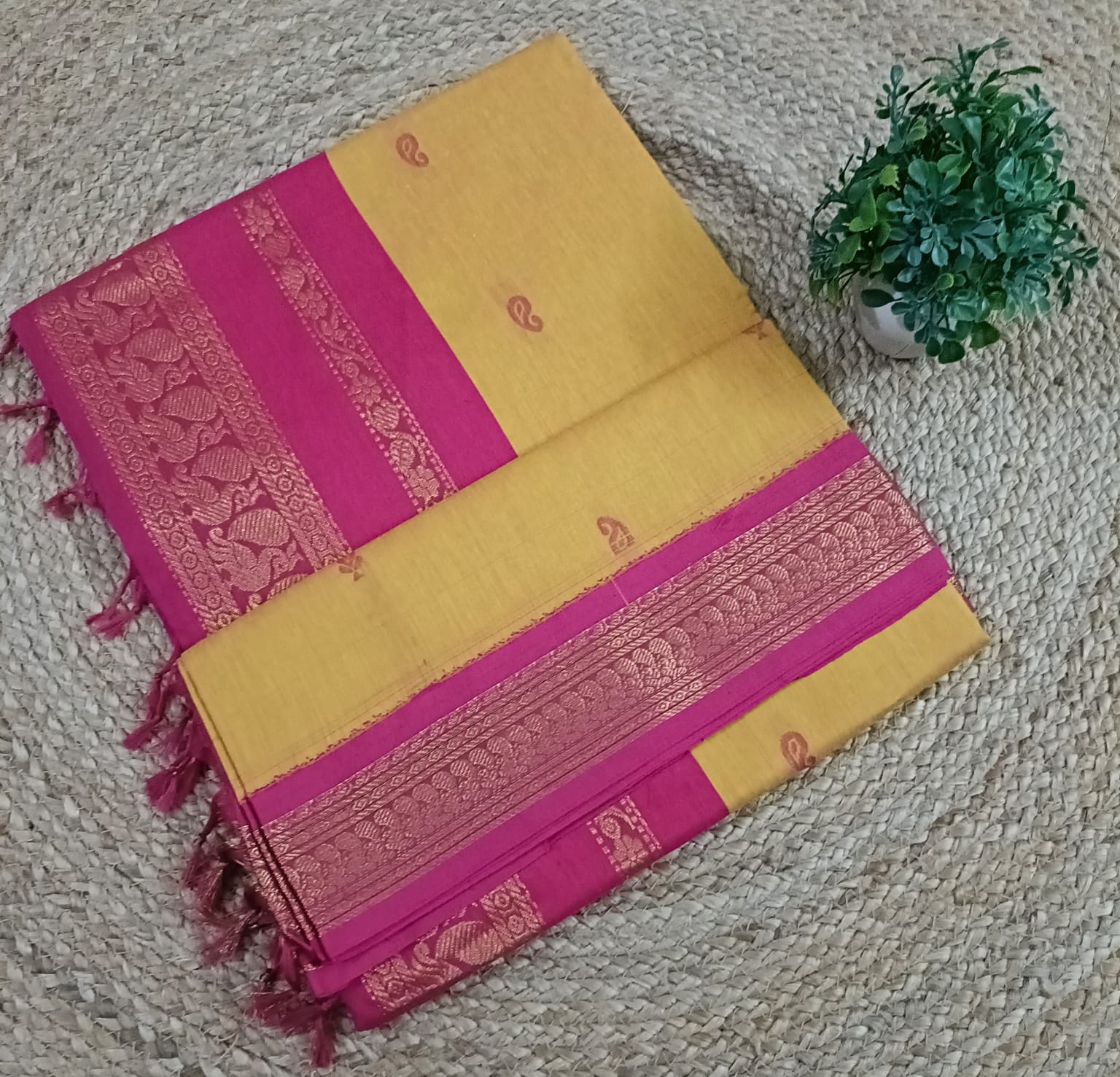 Kalyani cotton