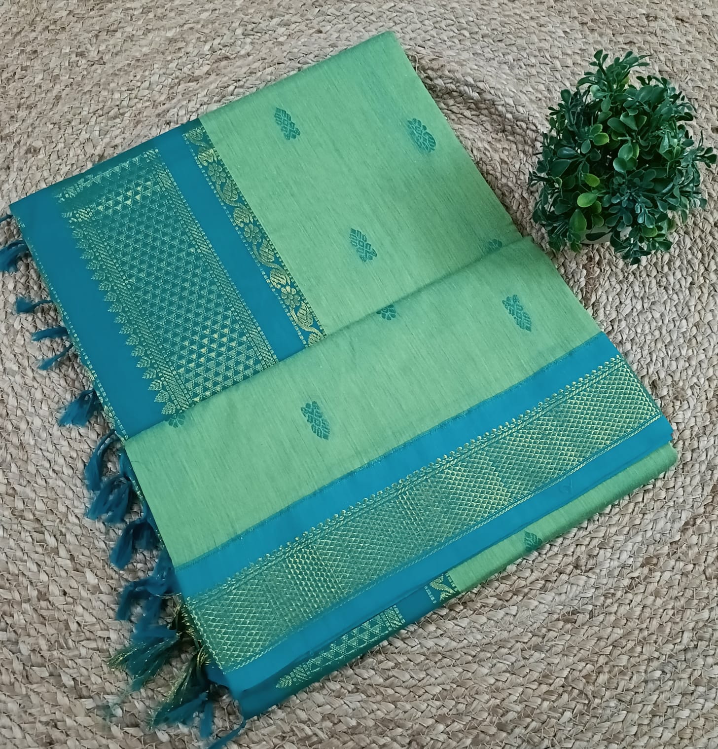 Kalyani cotton