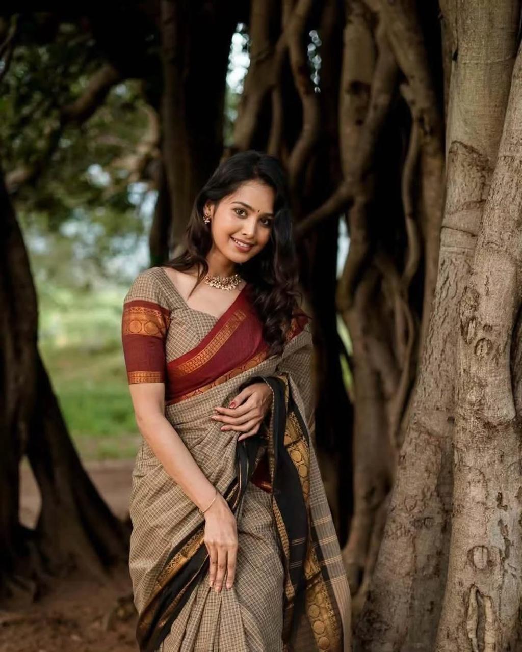 Semi Kanjivaram Banarasi Checks & Ganga Januna Zari Border Sarees