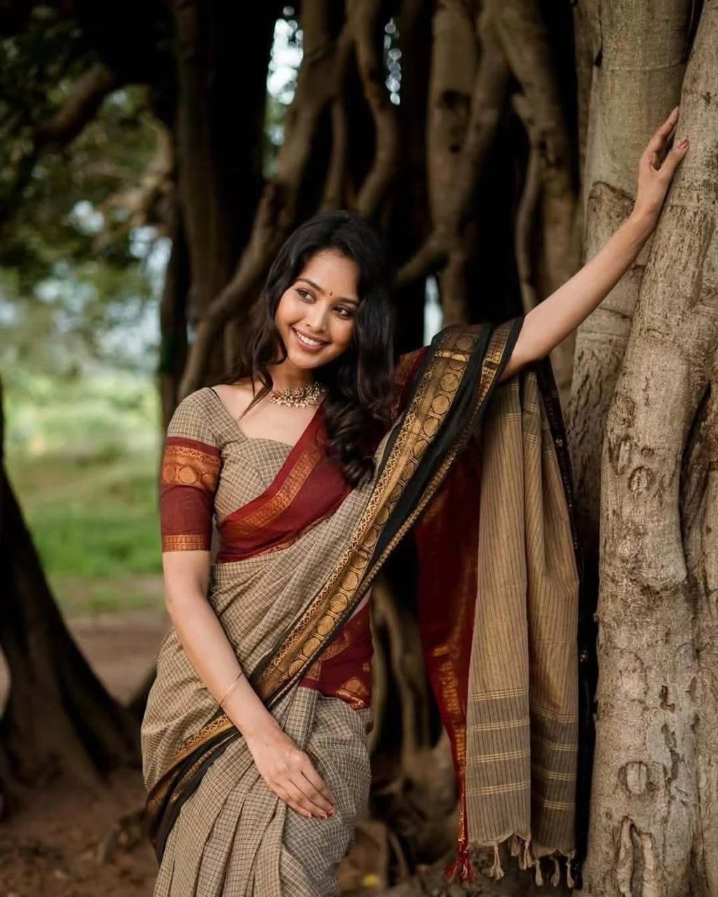 Semi Kanjivaram Banarasi Checks & Ganga Januna Zari Border Sarees